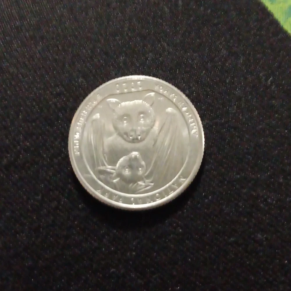 2020 Bat quarter!